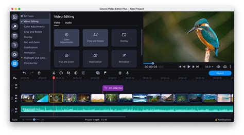 Independent download of the transportable Movavi Video Writer Plus 2.0
